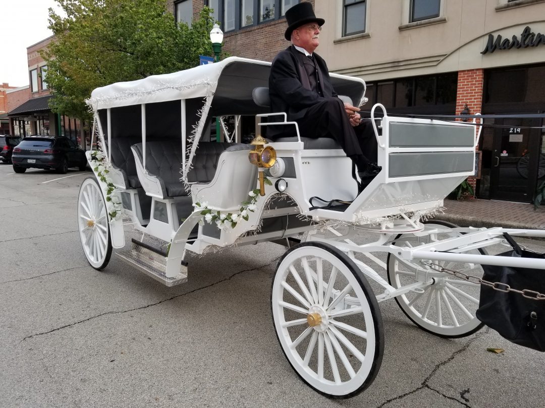 Horse and Carriage Ride Special Events & Occasions Houston Carriage