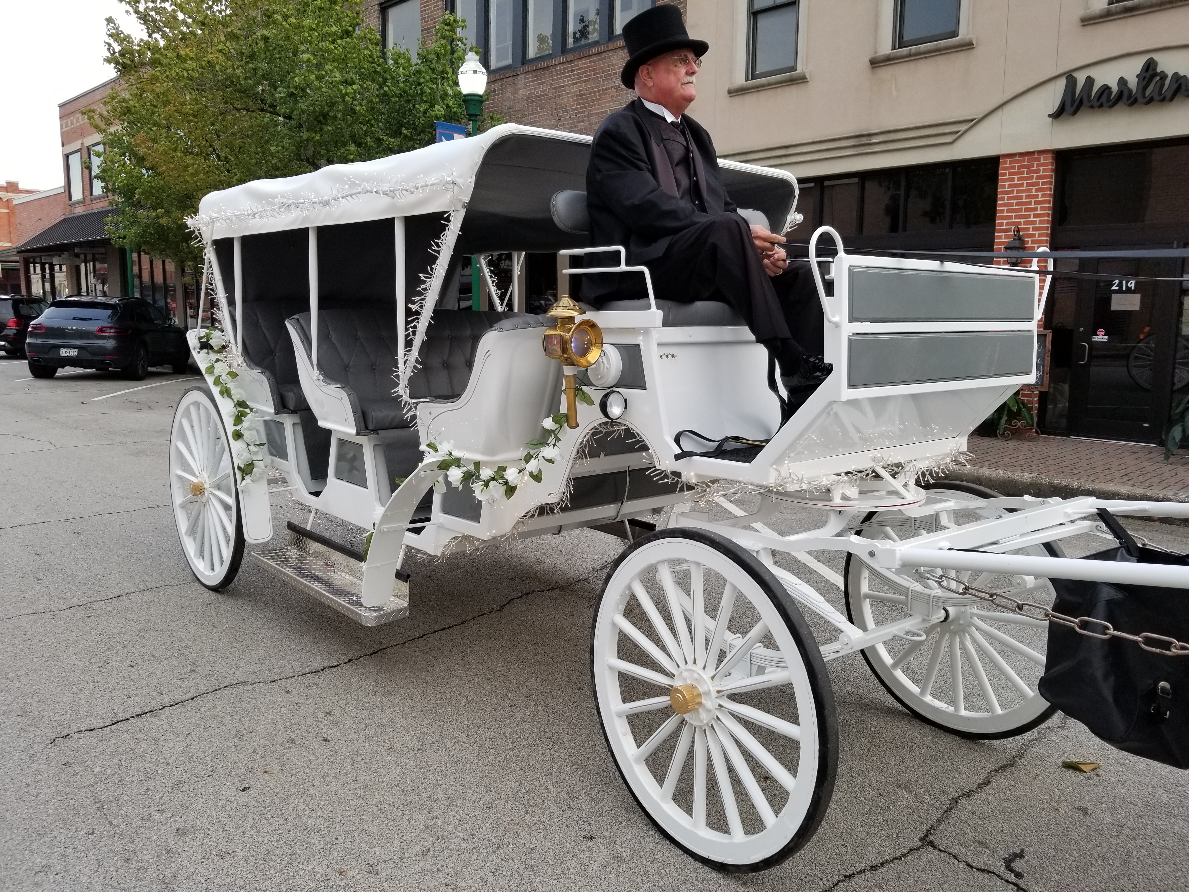 Black Horse and Carriage Ride For Funeral Hearse, Houston Carriage 